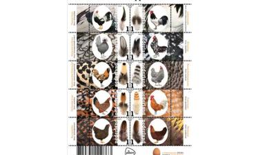 PostNL 'is er als de kippen bij' met nieuwe postzegels