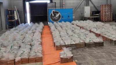 recordvangst-cocaine