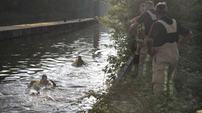 Brandweer redt hert van verdrinkingsdood