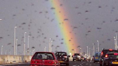 Regenboog-zebrapad voor hoofdkwartier Verenigde Naties 