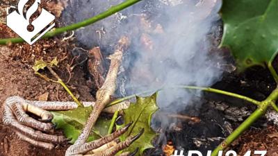 Dakloze Rus roostert blauwe reiger op houtgestookt vuurtje