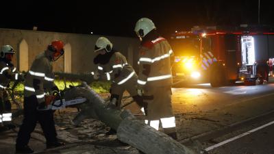 brandweer zaagt omgevallen boom in stukken