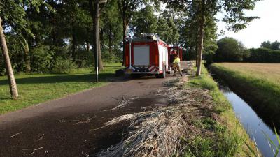 riet-brand