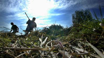 riet-hooien-riek-waterstand