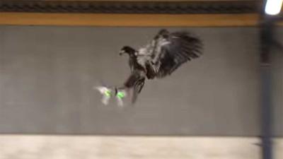 TNO ontwikkeld speciale klauwen voor politie