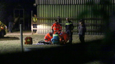 Ruiter zwaargewond na trappen van paard