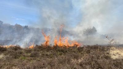 Hoge vlammen op Vughtseheide