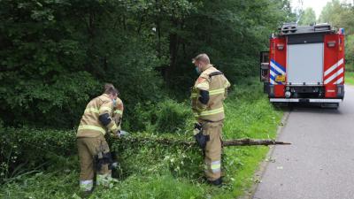 Brandweer zaagt boom