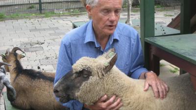 Dominee roept moslims op om geld te offeren in plaats van een dier