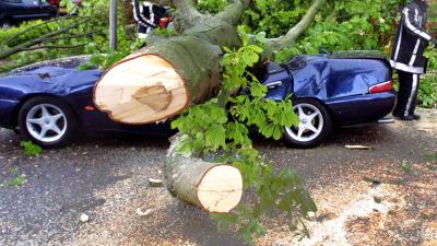 schade-storm-auto-boom