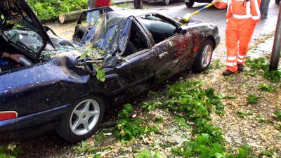 schade-storm-boom-auto