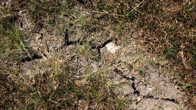 Spoedreparatie dijk bij Reeuwijk vanwege droogte