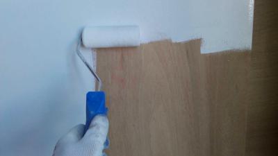 schilder-roller-verf