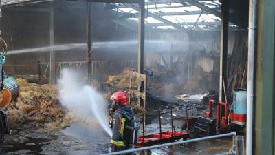 schuurbrand-nablussen