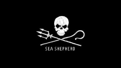 foto van Sea Shepherd