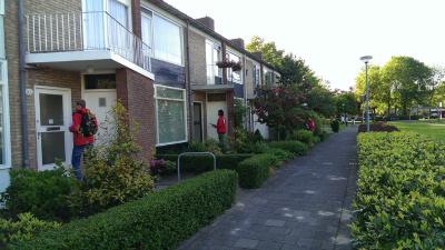 foto van Emiel Roemer | Sp