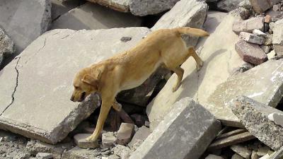 foto van instorting | fbf