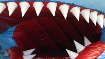 springkussen-tanden-haai