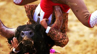 Stier dood matador in arena in Spanje