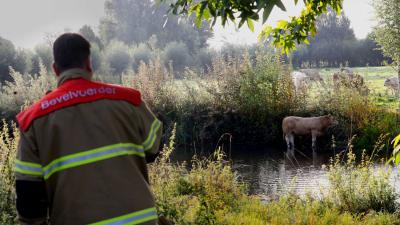 stier-water-brandweer