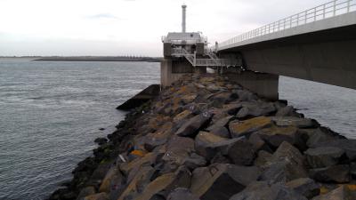 foto van stormvloekering | fbf