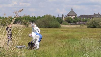 Gewonde vrouw aangetroffen in Het Bossche Broek