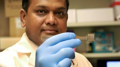 Revolutionaire 'Tissue'-chip repareert lichaamscellen ter plekke