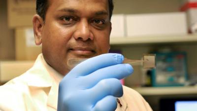 Revolutionaire 'Tissue'-chip repareert lichaamscellen ter plekke