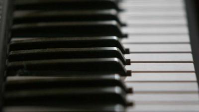 Vleugel Thierry Baudet in werkkamer Tweede Kamer 