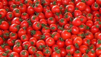 OM eist celstraffen voor fraude in Westlandse tomatenhandel