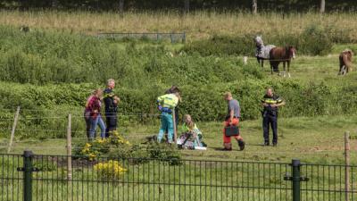 Meisje gewond na trap van paard
