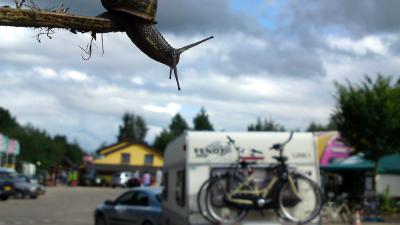 Internet gaat bij 90% vakantiegangers mee op vakantie