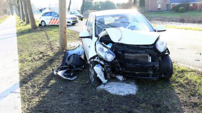 Automobiliste rijdt frontaal tegen boom