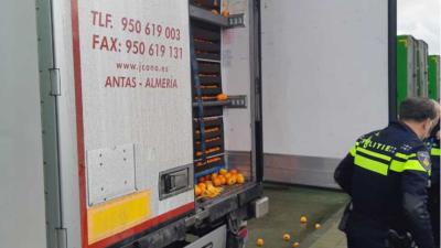 Verstekelingen aangetroffen tussen lading sinaasappels in vrachtwagen Ridderkerk
