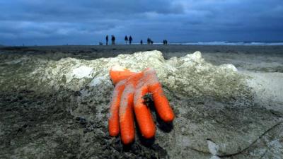 Grote hoeveelheden drijvend plasticafval uit Europa en VS in Noordelijke IJszee