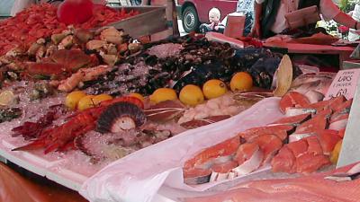 Nederlandse Vissersbond deels tevreden met vangstquota 2018  