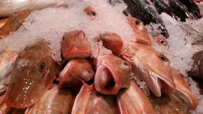 Gezonder eten stijgt meer in prijs dan ongezonder eten