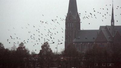'Klimaatverandering: in april leggen alle vogels een ei?'