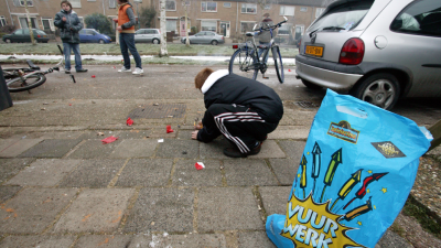 Tips om honden door Oud en Nieuw te loodsen