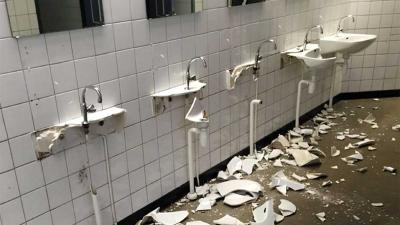 Vandalisten gaan als 'beesten' tekeer in oude dierenpark Emmen - Blik op Nieuws