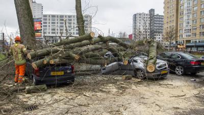 Bijna 500 stormmeldingen voor hulpdiensten
