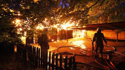 woningbrand-bos