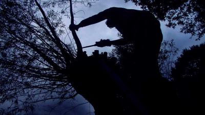 zaag-knotwilg-tak-donker