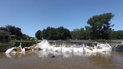 zandzakken-nooddijk-overstroming