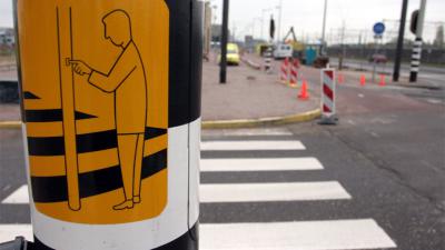 foto van gekleurd zebra | Petra Luiken