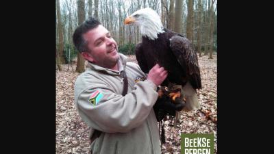 Zeearend 'Lady Maya' teruggekeerd op haar 'nest'