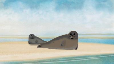 'Maak van een gezonde pup geen wees'