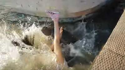 Zeeleeuw trekt meisje het water in