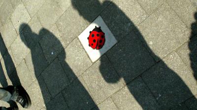 CBS: Vooral minder jongeren en ouderen slachtoffer geweld