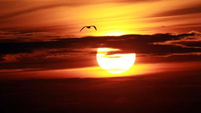 Volgende week opnieuw zomers